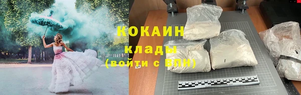 стаф Горняк