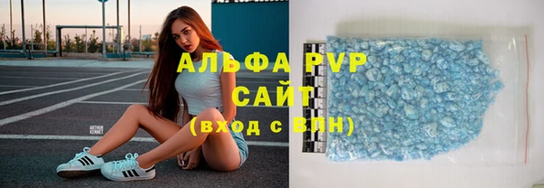 стаф Горняк