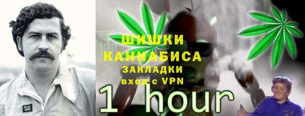 MESCALINE Горно-Алтайск