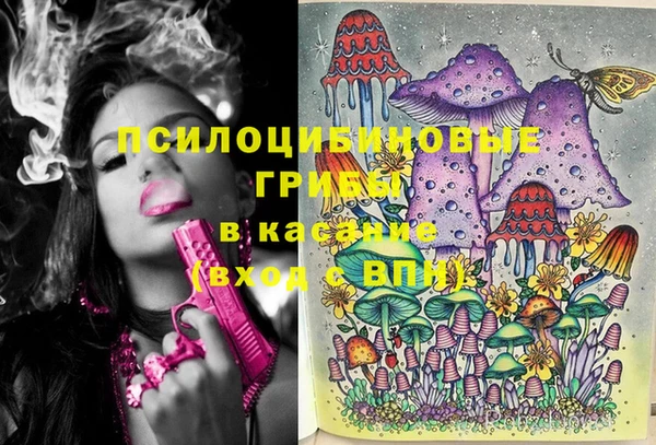 бутират Горнозаводск
