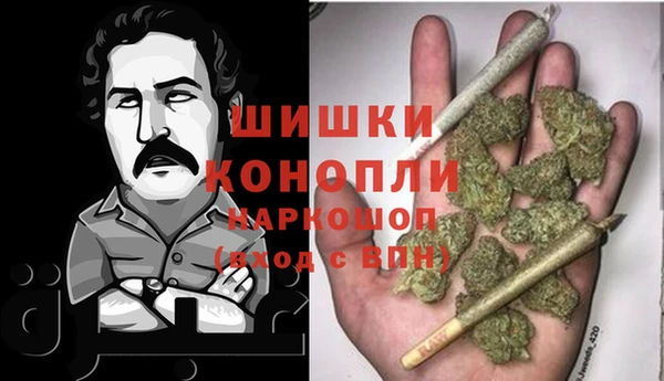 стаф Горняк