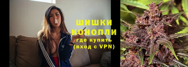стаф Горняк